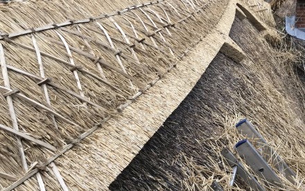 Detail on a new ridge
